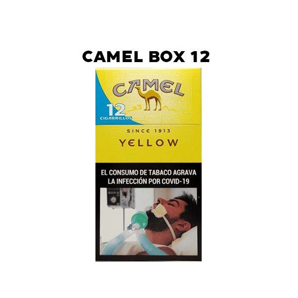 Camel Box 12