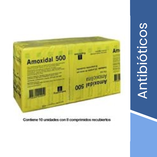 Amoxidal 500 x 80