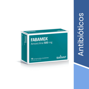 Amoxicilina 500 x 80