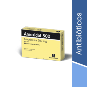 Amoxidal 500 x 80